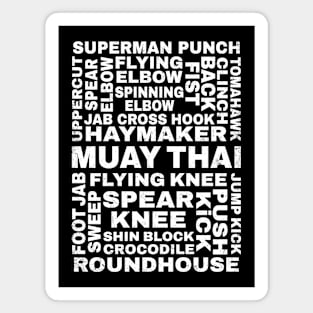 Guide to Muay Thai Magnet